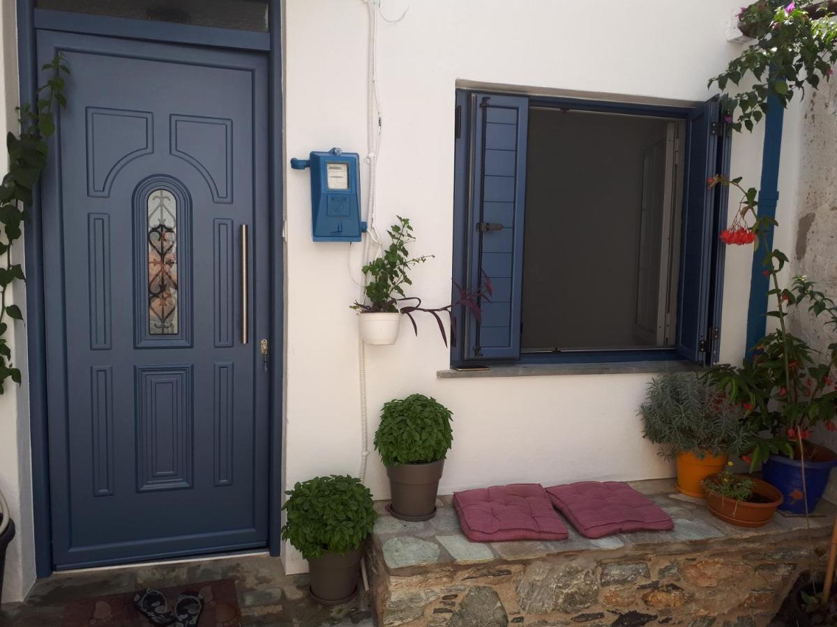הוילה סקופלוס טאון Kastro House מראה חיצוני תמונה