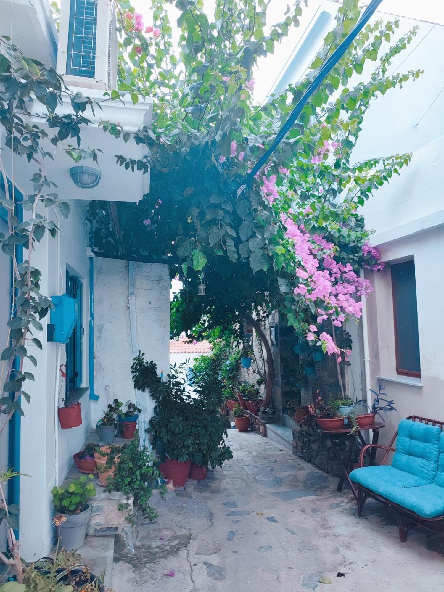 הוילה סקופלוס טאון Kastro House מראה חיצוני תמונה